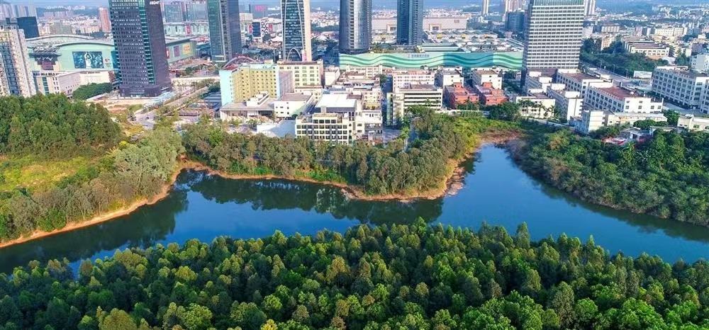 1745302046219089.jpg 06c1e71bd543471270eeb063f455d2d.jpg