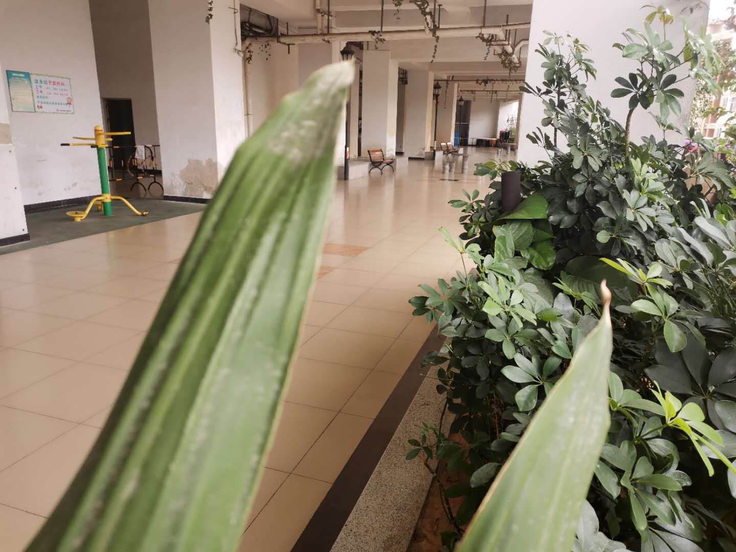 布吉南嶺村小產權房