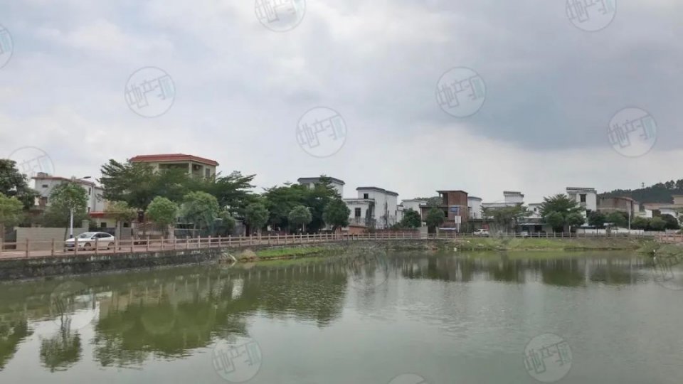 選擇安置房和貨幣補償方式