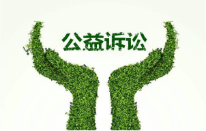 民訴法第五十五條是關于公益訴訟的規定