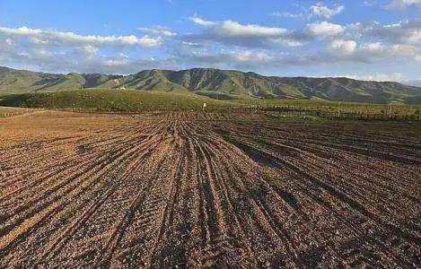 可別看不起農(nóng)村的土地不值錢(qián)