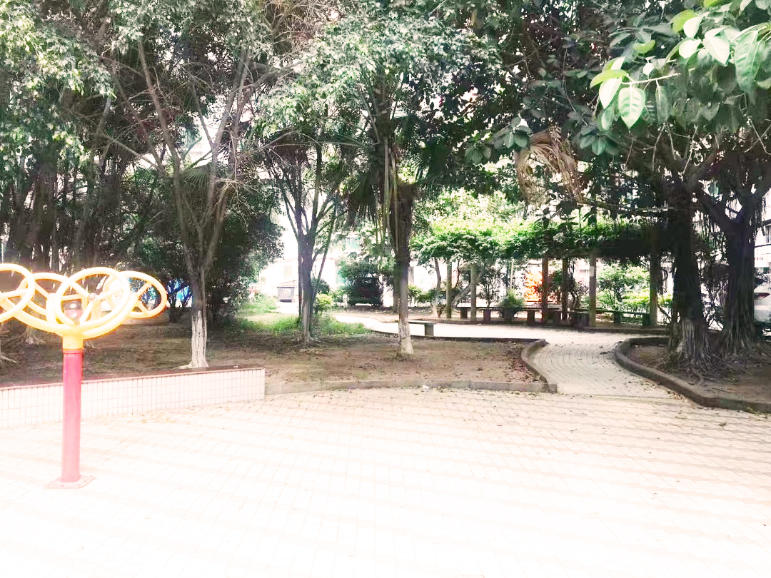 深圳寶安小產權房|新城芳花園 79.8萬/套 地鐵口300米