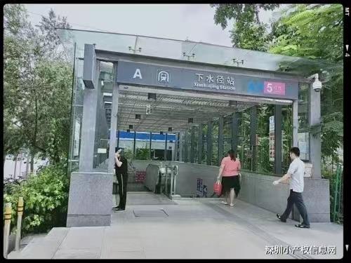 龍崗布吉翠峰學府